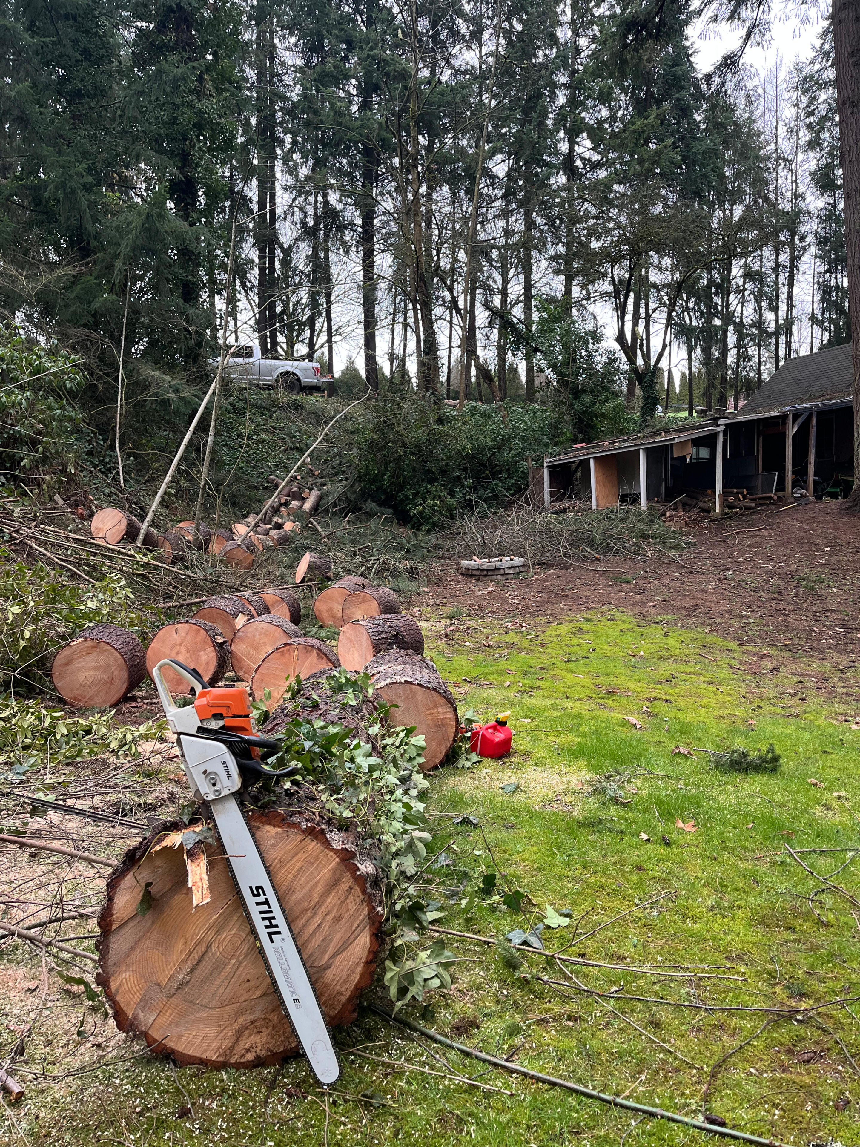 * Complete tree removal * Tree climbing and limbing *Tree felling *Firewood cutting * Hazardous branch removal Limbing a tree in Ridgefield, WA